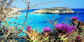 Lampedusa rosamarina Lampedusa e Linosa